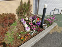 駐車場の花壇
